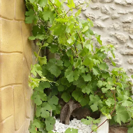 Vivienda Vieja Cepa Noja