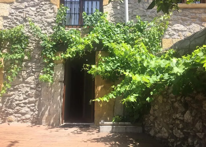 Vivienda Vieja Cepa 诺哈